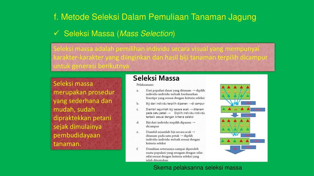 Pemuliaan Dan Perbenihan Tanaman Modul Tim Penyusun Prof Dr Ppt